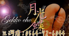 月光蝶三河店イメージ 月光蝶三河店イメージ