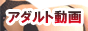 ナイタイアダルトギャラリーバナー