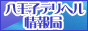 八王子デリヘル情報局バナー